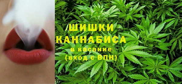 СК Богородск