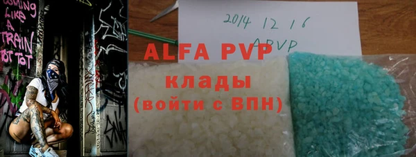 гашик Сосновый Бор
