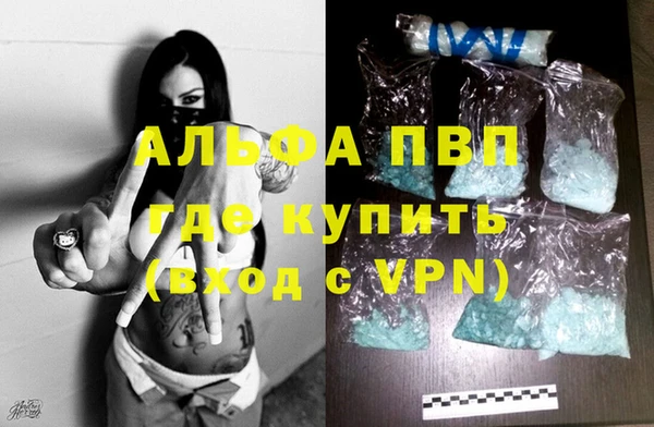 СК Богородск