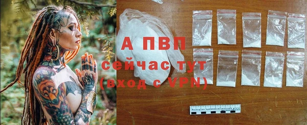 прущие крисы Сосновоборск