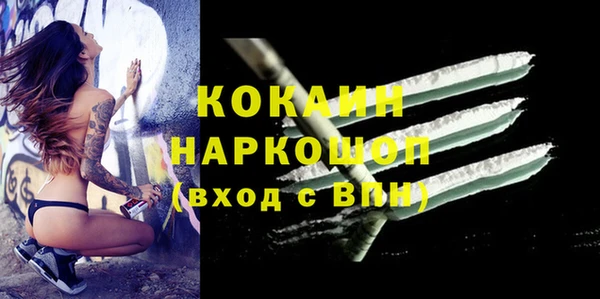 СК Богородск