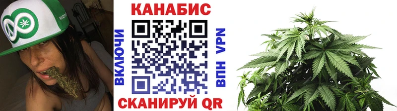 где продают наркотики  Выборг  Марихуана сатива 